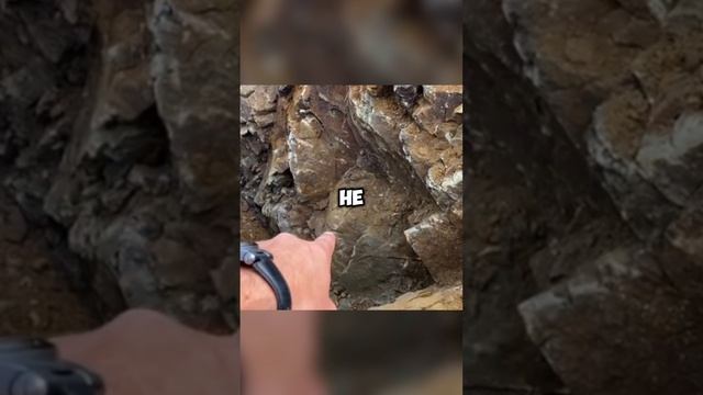 Важно знать при выборе участка