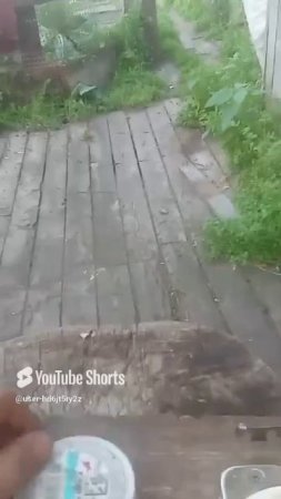 1000095134.mp4