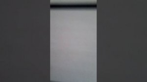 Коля