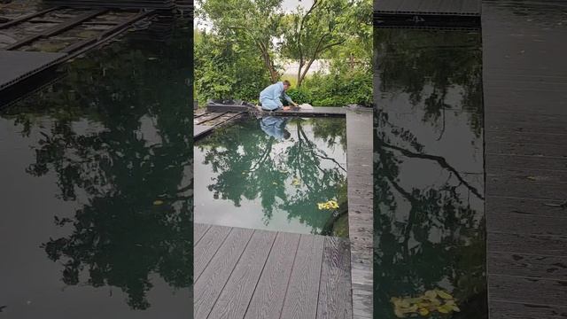Как сделать пруд на даче своими руками?