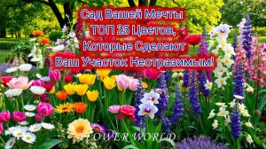 Сад Вашей Мечты -ТОП 25 Цветов, Которые Сделают Ваш Участок Неотразимым!😍