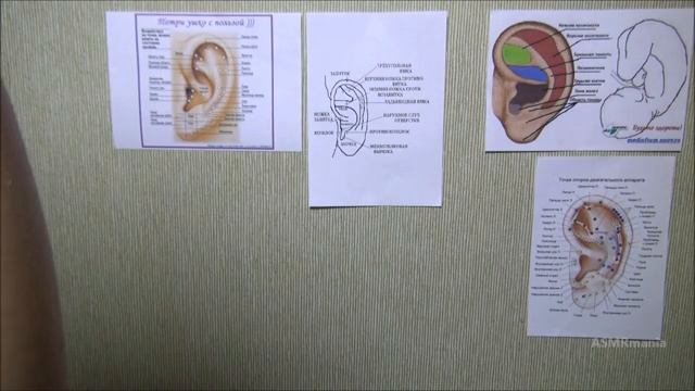 АСМР осмотр уха смотреть онлайн