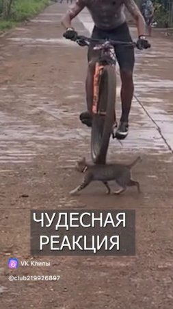 #СПОРТ #ВЕЛО #РЕАКЦИЯ #