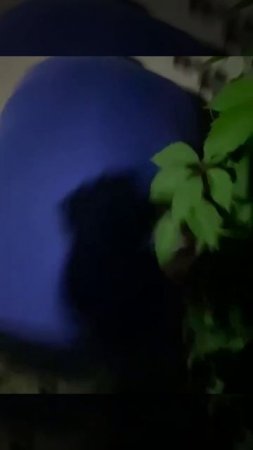Видео 2