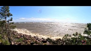 Шторм в Петербурге