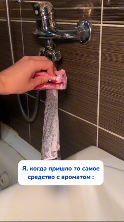 Идеальная парфюмированная химия WB #234577722 Ozon #1664064287