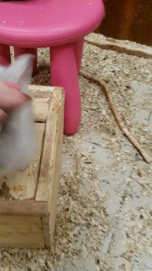 20171224_174324