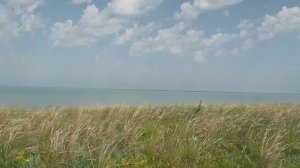 На озере Чаны (Россия, Новосибирская область).