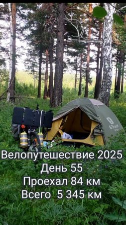 Путешествие с палпткой 2025 день 55