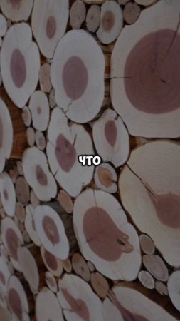 Самое ДОРОГОЕ в стройке