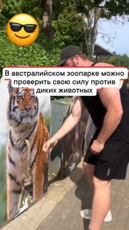 1000563068.mp4