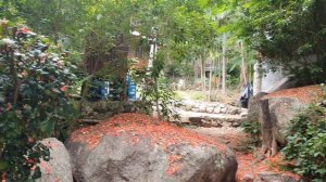 Koh Tao Tanote Bay Lub d