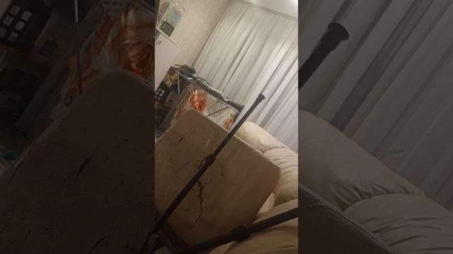 каратэ против самбо серия 23