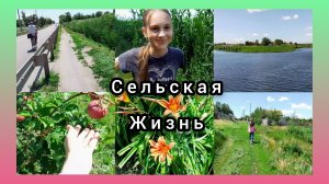 ИДЁМ С МЛАДШЕЙ ДОЧЕРЬЮ ЗА СМОРОДИНОЙ!НАШ КАНАЛ И ОБЗОР УЧАСТКА🙏