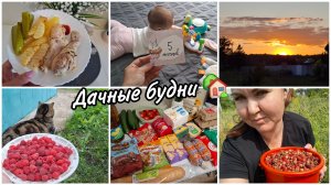 Миленочке 5 месяцев 💕 Дачные будни.🏡 Насобирала ягод🥰