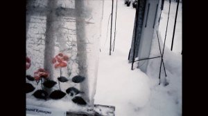 Зимние загадки парка Юрий Гагарин