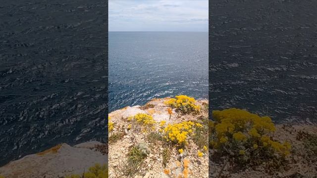 истинная красота