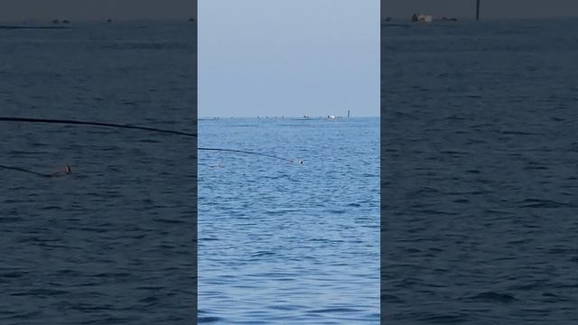 что это в море ? напротив Адлера в Сочи