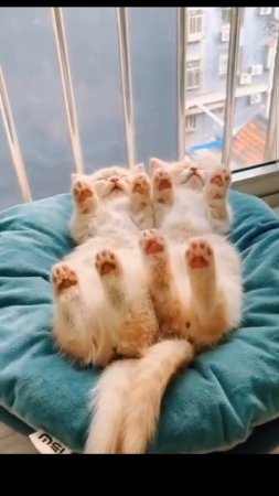 Если доброе утро, то только такое🥰