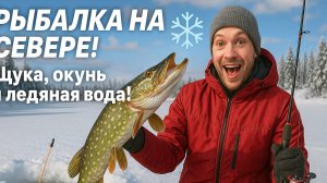 РЫБАЛКА НА СЕВЕРЕ! ❄️ Щука, окунь и ледяная вода!