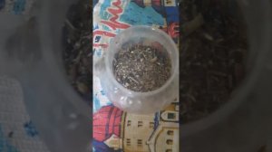 вкусно