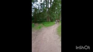 1000021554.mp4