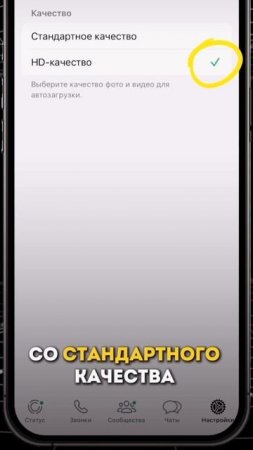 3 важных настройки #WhatsApp Ты знаешь, кому это отправить?😈 #ios #smartphone #сезонконтентаРУТУБЕ