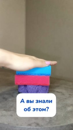 А вы знали про цвета губок?