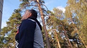 Перелётные птицы