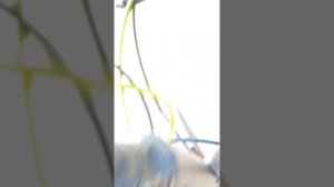 Ездим с другом на велосипедах