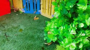 ВЛАД И НИКИ - Прятки в одном цвете с Крисом и друзьями
