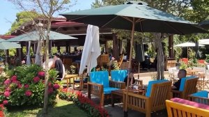 Отдых в Батуми. Наши апартаменты в "Дримленд Оазис", море, погода, цены, территория. Мама в восторге