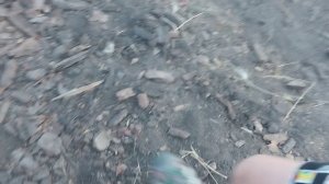 99 дней в лесу часть 2