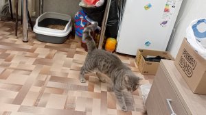 счастлив в деревне