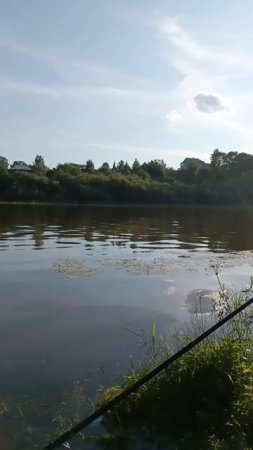 красота