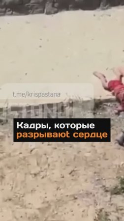 Кадры, которые разрывают сердце