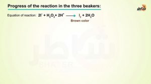 Kinetics 2