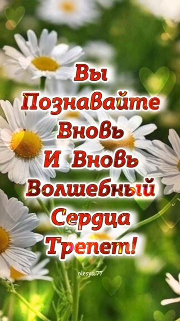 С днём семьи, любви и верности. Музыкальная открытка поздравление.