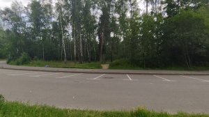 Дошел до парка