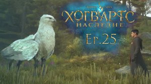 Ep.25: Полеты или Ходячие Мертвецы? / Хогвартс Наследие / Hogwarts Legacy / 101%