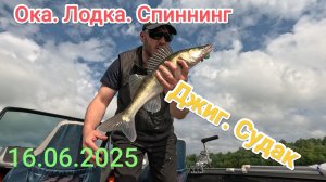 Рыбалка на Оке. Спиннинг. Джиг. Судак на месте!