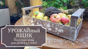 УРОЖАЙный ЯЩИК - делаю красивый ящик/поднос из бесплатного магазинного ящика от помидор