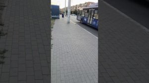 Прямая трансляция fishing и мы !