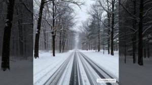 Снег летит и летит