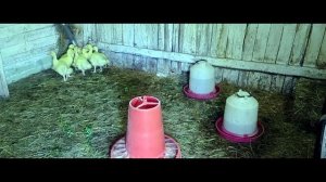 ШЕДЕВРАЛЬНАЯ ПОЛКА ДЛЯ НАШЕГО ДЕГУСТАЦИОННОГО ДОМА