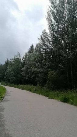 Это надо видеть