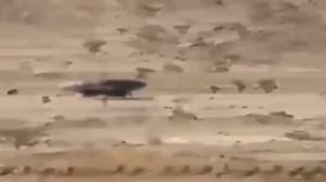 Видео НЛО в пустыне