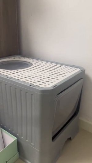 Разработчики и пользователи
