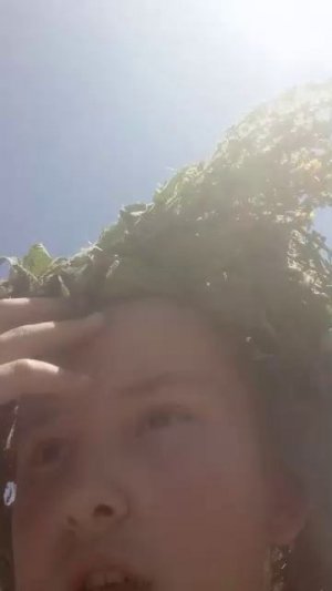 В дк