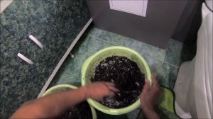 РАЗВЕДЕНИЕ ЧЕРВЕЙ В КВАРТИРЕ Breeding worms in an apartment